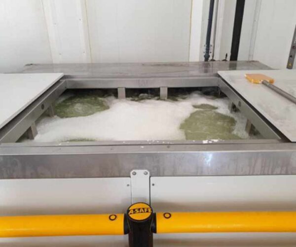 Sistema congelacion de fruta