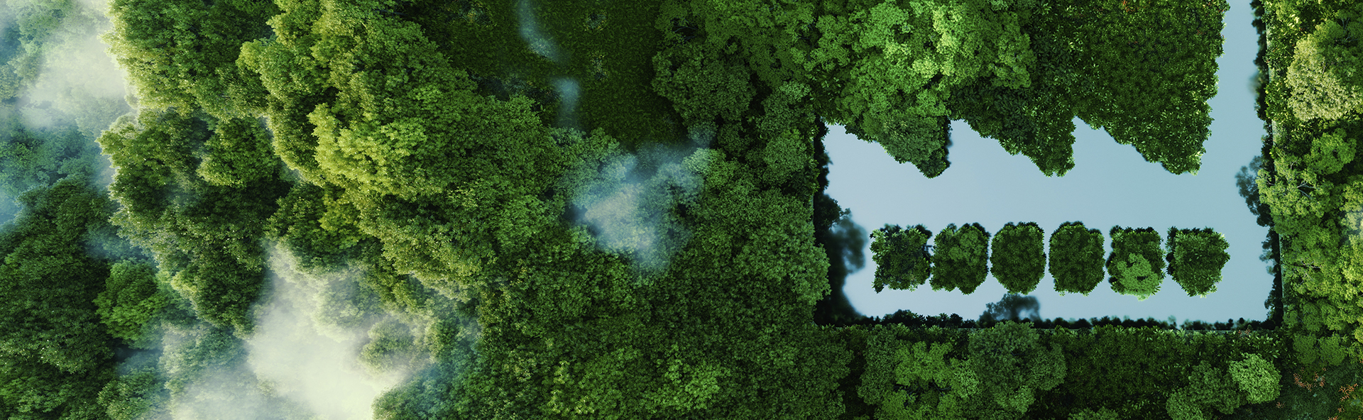 imagen representando descarbonilación